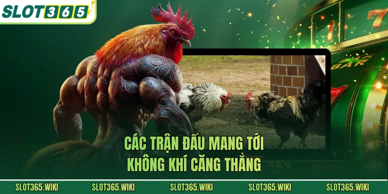 Các trận đấu mang tới không khí căng thẳng 