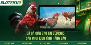 Đá Gà Cựa Dao Tại SLOT365 - Sân Chơi Kịch Tính Hàng Đầu